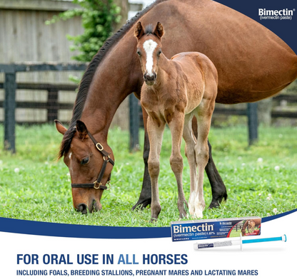 Bimectin Ivermectin Paste 1.87% Apple Flavored – Horse Dewormer | Removes Worms & Bots | 0.21 oz Syringe