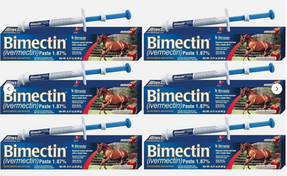 Bimectin Ivermectin Paste 1.87% Apple Flavored – Horse Dewormer | Removes Worms & Bots | 0.21 oz Syringe