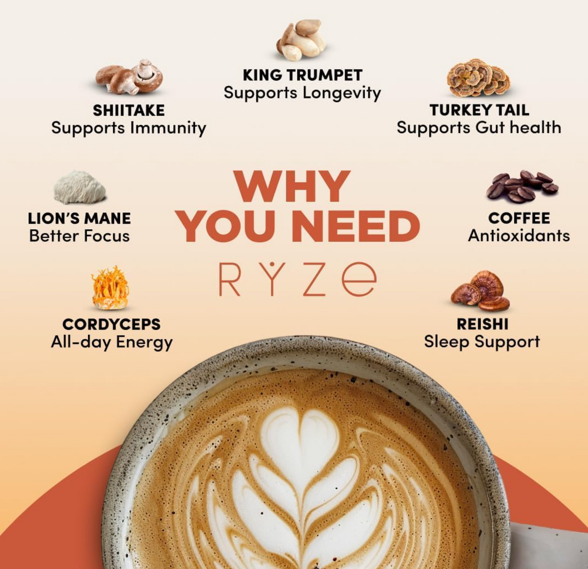 RYZE Mushroom coffee | 3 pack