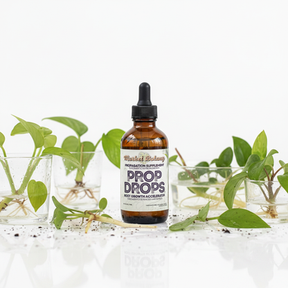 Prop Drops Bottle on White Background with Plant Cuttings and Roots